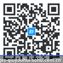 华为鸿蒙版 二维码